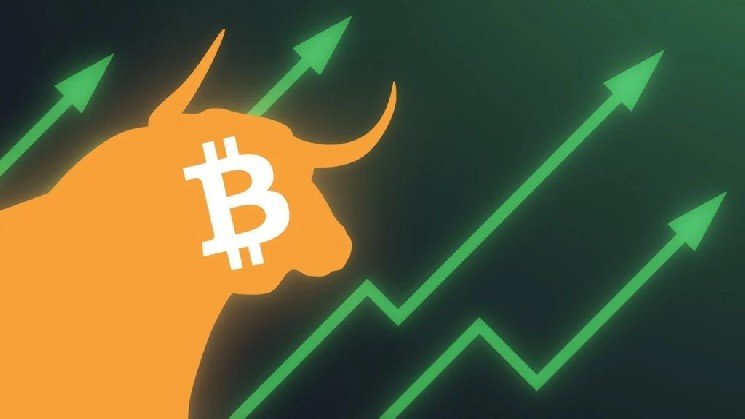 The Bull Market Heated Up After the Fed’s Statement: Bitcoin Price Surpassed $81,000 – What’s Going On?